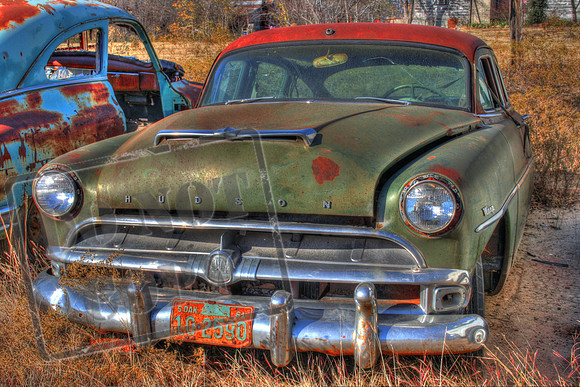 Nocona, TX